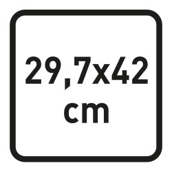 29,7  x 42 cm, Icon