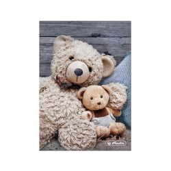 Boutiquebuch  Cosy Teddys