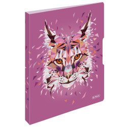 Ringbuch easy orga to go Wild...