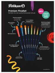 Verkaufsunterlage Premium Pins...