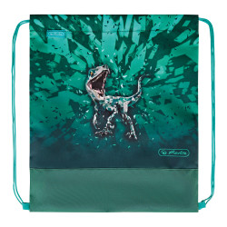 Sports Sac Green Rex