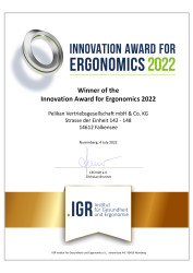 IGR Innovation Award for Ergon...