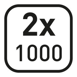2 x 1000, Icon