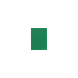 Pocket diary Foil 2025 green,...