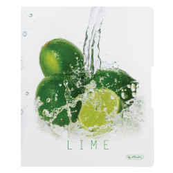 Ringbuch Fresh Fruit Limette