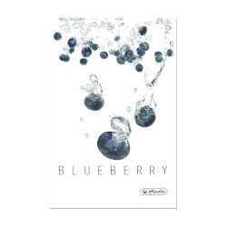 Boutiquebuch Fresh Fruit, Blau...