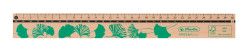 Ruler wooden 30 cm GREENline m...