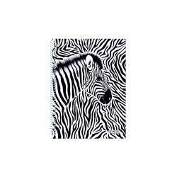Spiral pad A5, Zebra