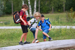 Schoolbag, 3 boys with tree tr...
