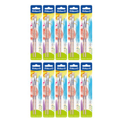 Brushes 613F 2 sizes blister c...