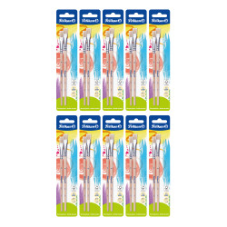 Brushes 613F 2 sizes blister c...