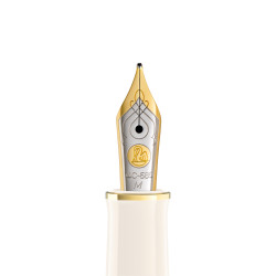 Bi-color gold nib M for founta...