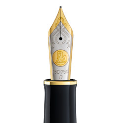 Bi-color gold nib B for founta...