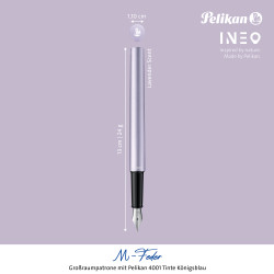 Fountain pen P6 Ineo Elements...