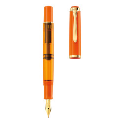 Fountain pen Special Edition C...