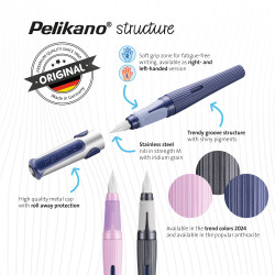 Fountain pen Pelikano structur...