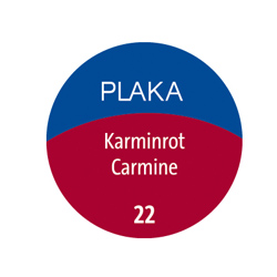 2009 Plaka 22